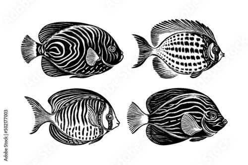 A set of four fish drawn in black ink, paint and brush texture. Engraving style