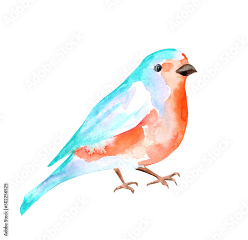 Watercolor illustration of a bright orange-turquoise bird. Hand drawn bird realistic image. Cute bright bird.