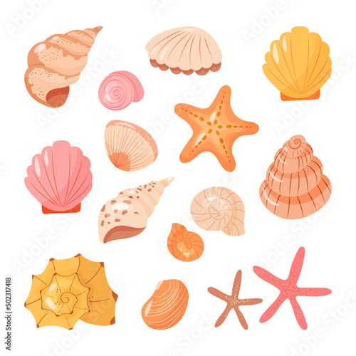 Set of seashells vector isolated icons