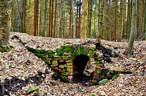 Czech Republic-view of the historic bridge in the forest of 1780