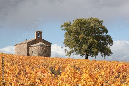 Autumnal landscape with the chapel Saint-Pierre in Beaujolais, France