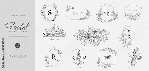Set of wedding monogram, botanical floral branch and logo. Hand drawn wedding herb, homeplant with elegant leaves. Botanical rustic trendy greenery vector