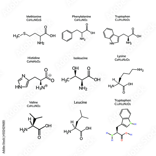 Group of vitamins on white background 