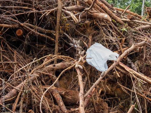 Plastic bag lost in the forest. Environmental and trash problems.