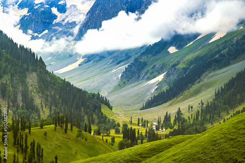 Landscape in the mountains. Panoramic view from the top of Sonmarg, Kashmir valley in the Himalayan region. Serene meadows, alpine trees, wildflowers on the trails of Great Laks of Kashmir Trek, 2022