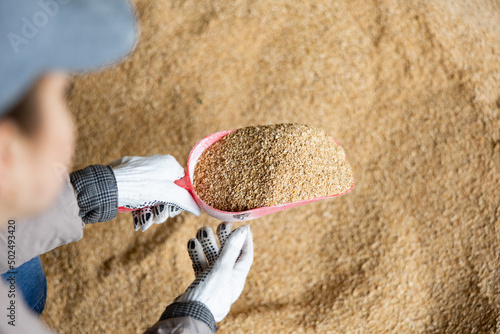 Confident woman owner of dairy farm checking quality of soybean husk animal feed for dairy cattle in farm storage area