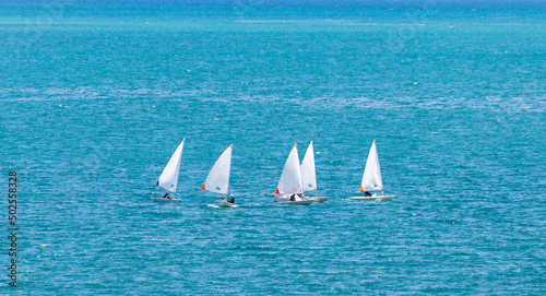 Group of white dinghy optimist sailboat sailing in the open sea with sunny blue turquoise color for summer activities and vacation