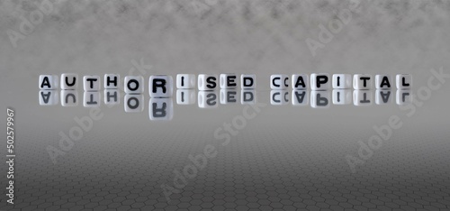 authorised capital word or concept represented by black and white letter cubes on a grey horizon background stretching to infinity