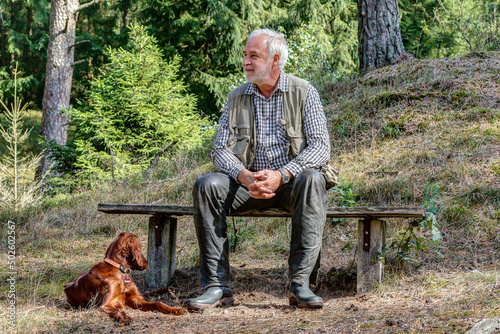 Elderly man sits on a bench in the Luneburg Heath and is happy that he can spend the nice day with his young Irish Setter Pointer in this beautiful nature.