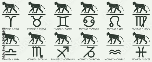 Vector Year of the monkey Animal icons eastern annual horoscope and zodiac signs in one symbol 2028 2040 2052 2064 years