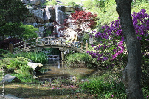 Maymont Estate Moon Bridge Waterfall Pink Flowers Trees