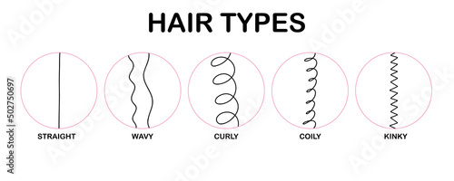 Hair types. Classification hair types - straight, wavy, curly, coily, kinky. Scheme of different types of hair. Curly girl method. Vector infographics illustration on white background.