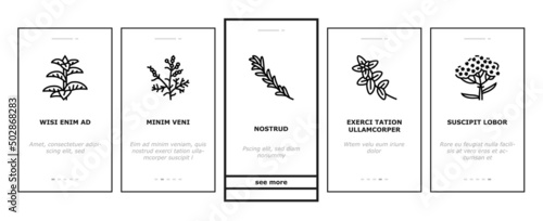 Medical Herb Natural Ingredient Onboarding Mobile App Page Screen Vector. Saffron And Chamomile Flower Bud, Ginseng Coriander Leaves, Oregano Thyme Branch Medical Herb. Anise Basil Plant Illustrations
