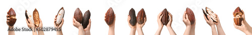 Set of female hands with fresh cocoa fruit on white background