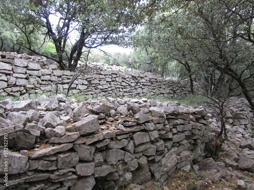 Murs de retenue ou faïsses dans les Cévennes, dans le Gard, avec des chênes verts emblématiques et une végétation de type garrigue