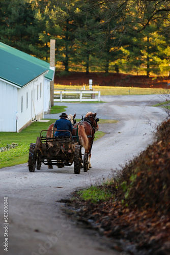 Amish Man with Horses Pulling Farm Equipment on the Road