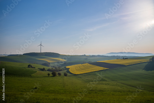 palatinate landscape in may