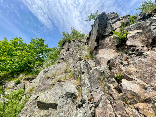 Large steep mountain rock seen from low angle, with some trees, plants and grasses growing on it