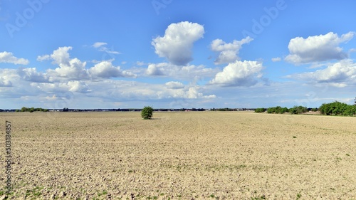 Spring countryside landscape with flat and low land under blue sky,