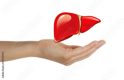 Woman and illustration of liver on white background, closeup