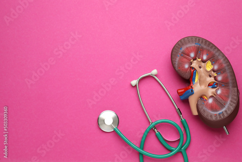 Kidney model and stethoscope on pink background, flat lay. Space for text