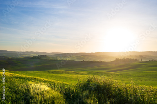 Unique green landscape in Orcia Valley, Tuscany, Italy. Morning light with mist and fog over cultivated hill range and cereal crop fields.