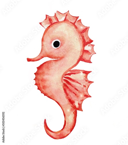 seahorse watercolor drawing character on white background for print