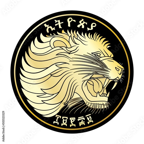 Ethiopian coin 1 birr lion head vector illustration