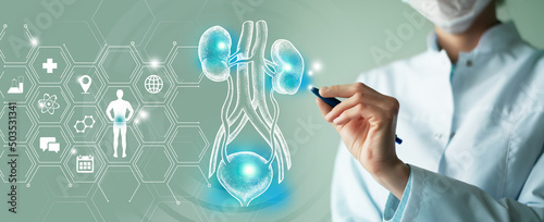 Unrecognizable female doctor holding graphic virtual visualization model of kidneys and bladder organ in hands. Multiple medical icons on the background.