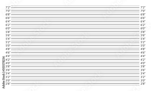 Police mugshot with inches height chart. Frame for photo of arrested person or suspect identification. Photoshoot background. Vector graphic illustration.