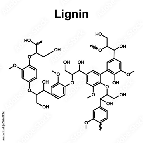 Lignin Fiber Molecule. Chemical Structure. Skeletal Formula. Vector Illustration.