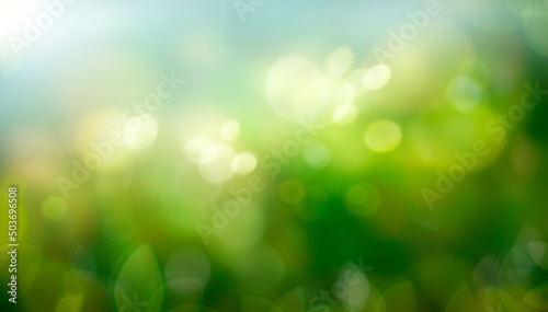 A spring, summer background of fresh lush green foliage and blue sky with blurred bokeh highlights.