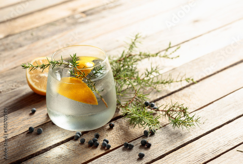 Gin tonic cocktail with lemon, juniper branch, and ice.