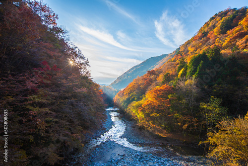 山梨県 西沢渓谷の紅葉