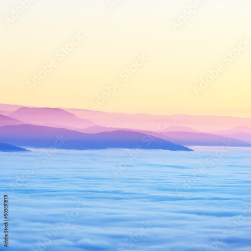 Picturesque aerial view of the evergreen forest hills in a clouds of fog at sunset. Clear sky. France, Alsace, Vosges mountains. Tourism, ecology, environment, nature