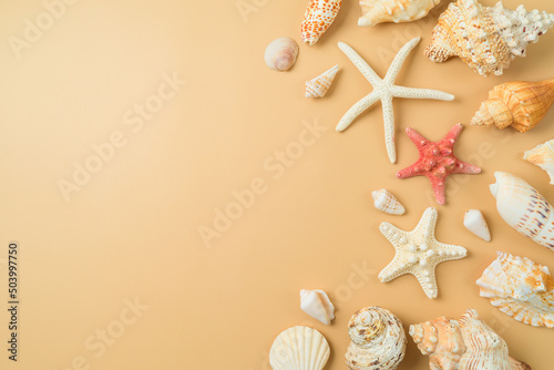Summer vacation background with with seashell and starfish. Flat lay composition