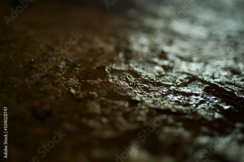 An abstract close-up of a mud print texture background in taken a tunnel in Georgia, USA.