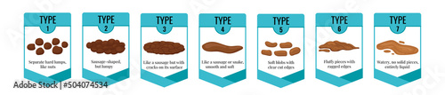 Bristol stool chart with faesces type classification. Different form poop excrement - from constipation to diarrhea health indicator isolated on white. Flat design vector poo scale illustration