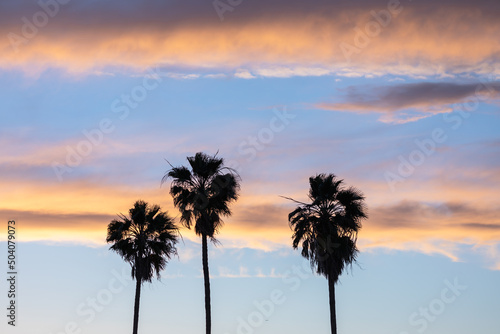 3 Palms Sunset 403