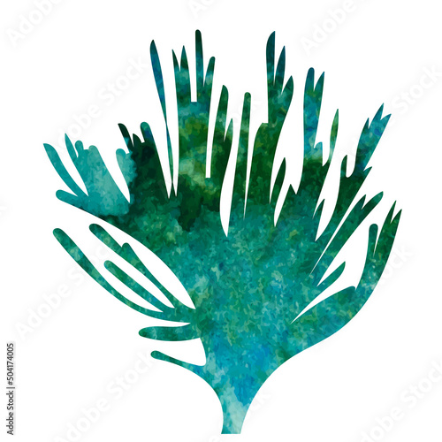 seaweed watercolor silhouette, on white background, isolated, vector