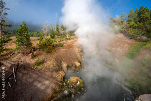 Natural Hot Spring, Yellowstone National Park