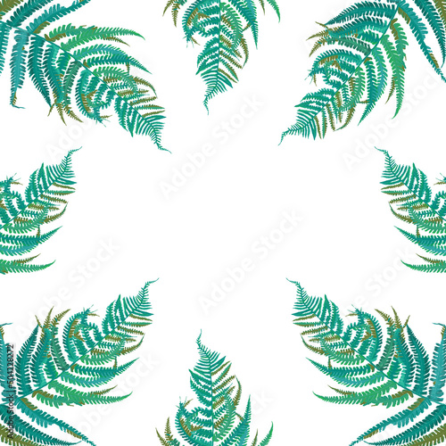 Ilustracja motyw roślinny zielone liście paproci białe tło 