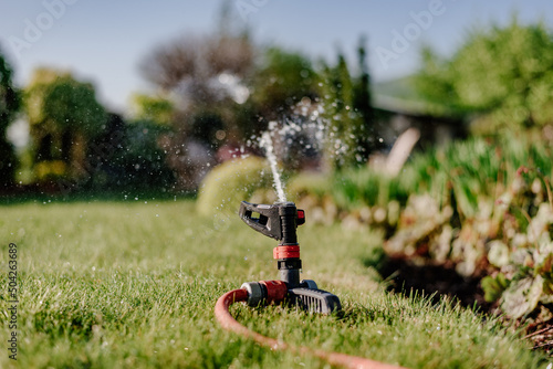 Nawadnianie trawnika. Automatyczny system zraszania nawadniania trawnik z bliska.