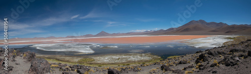 Colorado lagoon, lake with reddish waters in the Salar Uyuni, Bolivian altiplano