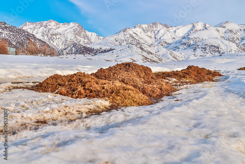 A pile of manure on the snow against the background of snow-covered mountains