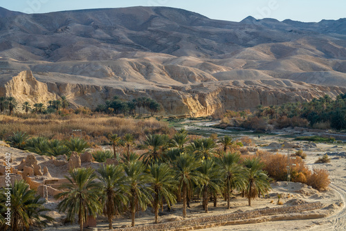 view of old Tamerza -Tozeur governorate - Tunisia 