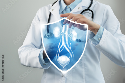 Unrecognizable female doctor holding shield and graphic virtual visualization of Bladder and Kidneys organ in hands.