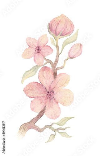 Simple nursery set. Watercolor hand drawn delicate illustration of pink blossom cherry flowers, branch, buds, leaves. Floral spring elements isolated on white background
