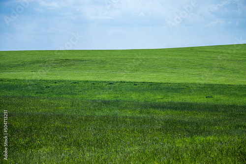 Windows bliss background, sloping hilly green field