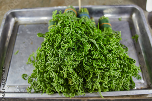 Fresh paco fern leaf in metal baking pan